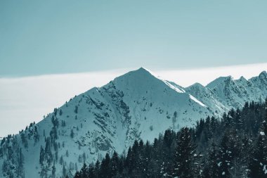 Fortini 'den karlı tepenin fotoğrafı. Yüksek kalite fotoğraf