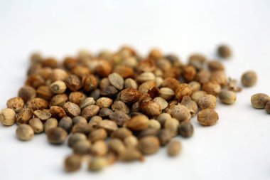 Marijuana. Cannabis. Marijuana Seeds. Medical marijuana Seeds. Isolated on white