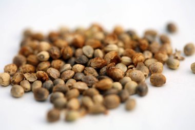 Marijuana. Cannabis. Marijuana Seeds. Medical marijuana Seeds. Isolated on white
