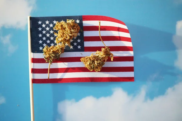 Marijuana Cannabis Medical Marijuana Marijuana Fresh Buds Usa Flag Sky — Foto de Stock