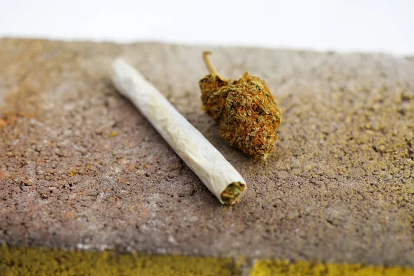 マリファナだ 大麻だ 医療用マリファナ マリファナ新鮮な芽との共同 — ストック写真