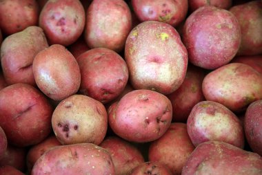 fresh organic potatoes close up 