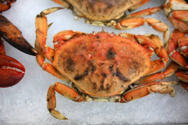 crab for sale at a Fish Market