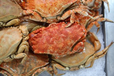crab for sale at a Fish Market
