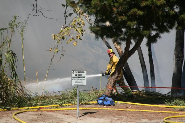 Lake Forest Usa November 2022 Arson Fire Set Brush Bike — ストック写真