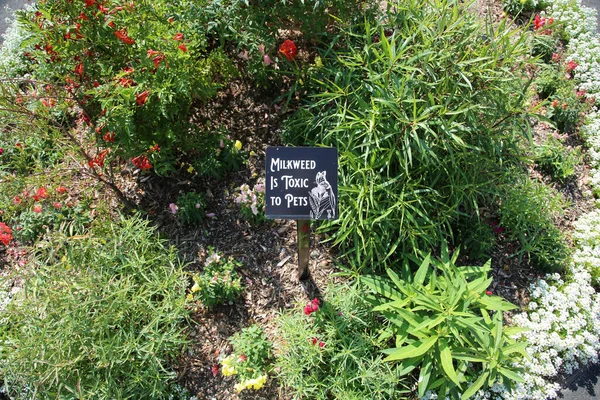 美国加利福尼亚州科斯塔梅萨市 2022年10月3日 米草对宠物有毒 在一个为蝴蝶和授粉昆虫准备的带有米草植物的花园里 警告人们注意米草中毒的警告标志 — 图库照片