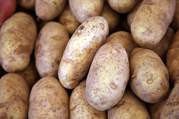 Fresh Organic Potatoes Close — Stock Photo, Image