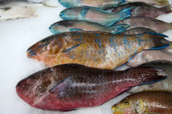 Parrot Fish Wild Parrot Fish Ice Sale Fish Market People — Stockfoto