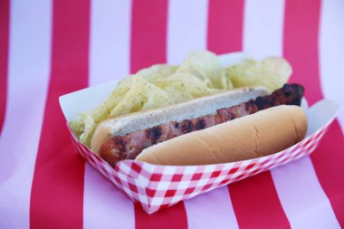 hot dog with chips, close up