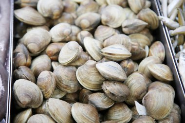 Balık pazarında satılık midyeler. Dünya çapında insanlar öğle yemeği ya da akşam yemeği için çeşitli deniz ürünleri yemeyi severler. Deniz ürünleri pazarları satılık egzotik okyanus hayvanları konusunda uzmanlaşmıştır..