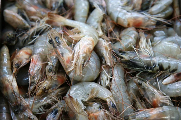 Shrimps Whole Shrimps Raw Shrimps Sale Fish Market — Stock Photo, Image