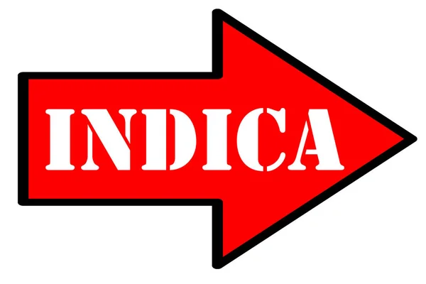 Indica Text Arrow Isolated White Background — Stok Foto