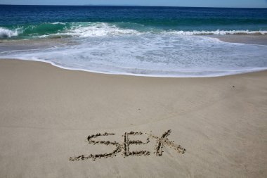 sex written in the sand on the beach.  message handwritten on a smooth sand beach
