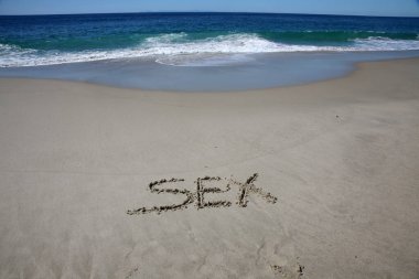 sex  written in the sand on the beach.  message handwritten on a smooth sand beach