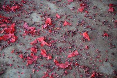 Westminster, California - USA - January 22, 2023: The Tet Parade to celebrate the Lunar New Year in Little Saigon. 