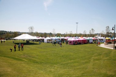 Venice, California - ABD - 3-18-2023: Venedik Festivali yüzlerce yerel sanatçının, marka tasarımcısının çalışmalarını içermektedir. Venedik Festivali 'nin sahnede herkesin eğlenmesi için müzik grupları var. Açık hava Konseri.
