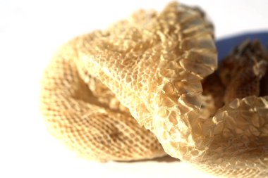 Snake Skin. Shedded Snake Skin. Snake molting isolated on white background. Shedded skin for education. Dead Dried Red Tailed Boa Snake Skin.