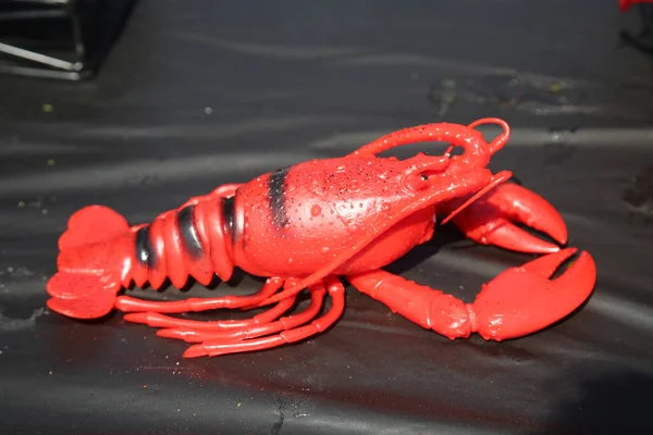 Lobster Plastic Lobster Fun Red Plastic Lobster Crayfish Black Plastic — Stock Photo, Image