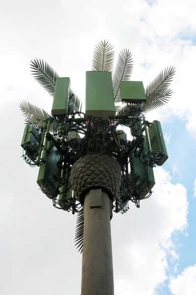 手机塔 Cellphone塔伪装成树增加对伪装电信塔的无线需求 手机塔被伪装成树木 与你的风景融为一体 — 图库照片