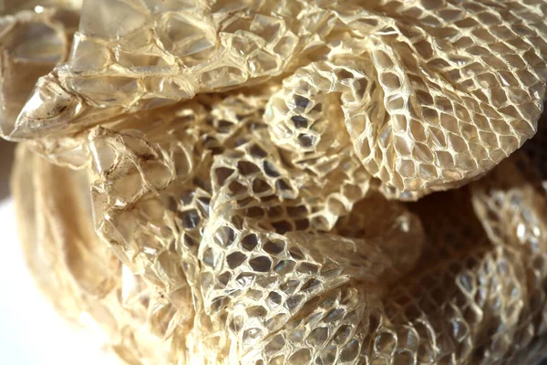 Pelle Serpente Pelle Serpente Serpente Muta Isolato Sfondo Bianco Pelle — Foto Stock