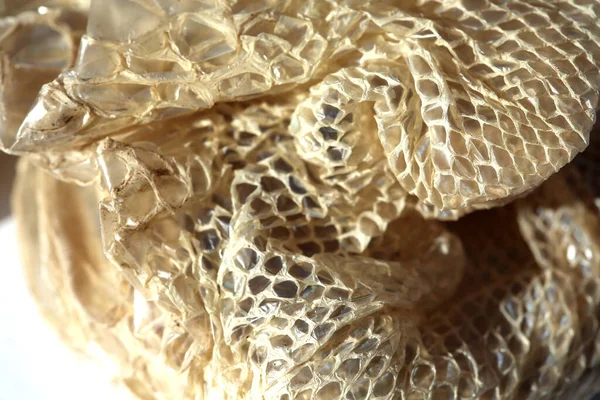 Snake Skin Shedded Snake Skin Snake Molting Isolated White Background — Stockfoto