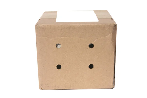 Коробка Доставки Картонна Коробка Ізольовані Білому Живі Тварини Судноплавна Ящик — стокове фото