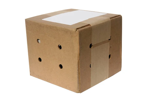 航运箱 纸板箱被白色隔离了活体动物 装运箱 包裹在邮件里 动物箱 复合纸板箱 封闭的纸板箱用胶带捆起来 用白色隔开 送你的 — 图库照片