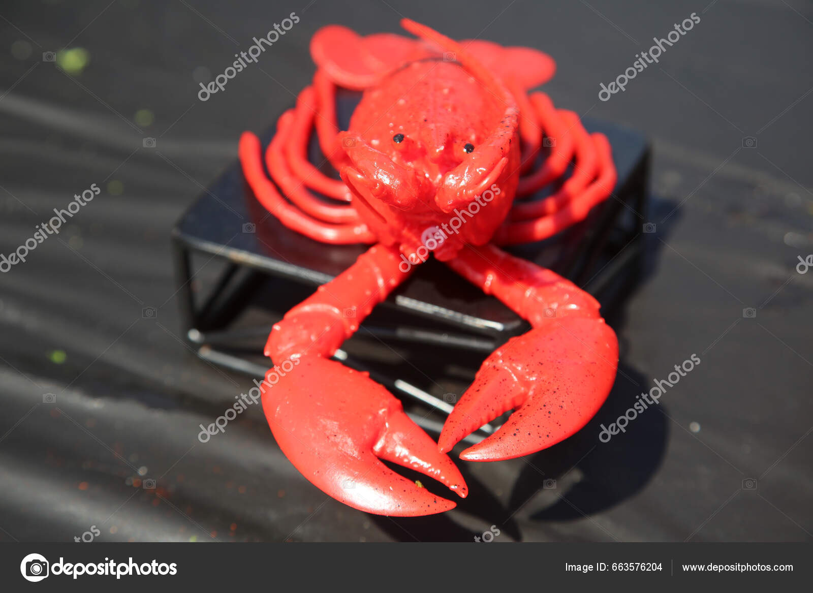 Lobster Plastic Lobster Fun Red Plastic Lobster Crayfish Black Plastic  Stock Photo by ©mikeledray 663576204