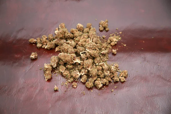 Μαριχουάνα Αποξηραμένα Λουλούδια Κάνναβης Μπουμπούκια Μαριχουάνας Ψυχαγωγική Ganja Ιατρική Συνταγή — Φωτογραφία Αρχείου