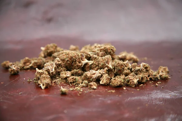 Marihuana Getrocknete Cannabisblüten Marihuana Knospen Freizeit Ganja Verschreibung Von Medizinischem — Stockfoto