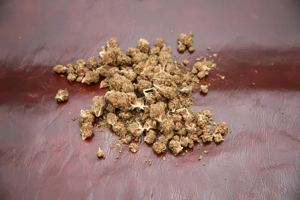Marihuana Flores Secas Cannabis Brotes Marihuana Ganja Recreativa Receta Cannabis — Foto de Stock