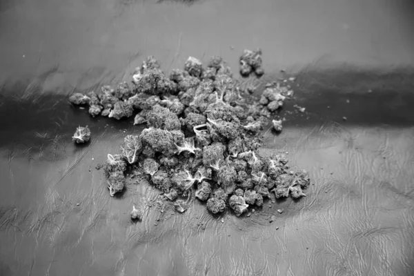Μαριχουάνα Αποξηραμένα Λουλούδια Κάνναβης Μπουμπούκια Μαριχουάνας Ψυχαγωγική Ganja Ιατρική Συνταγή — Φωτογραφία Αρχείου