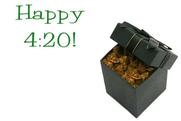 Marihuana Cannabis Eine Geschenkbox Gefüllt Mit Cannabis Sativa Schwarze Geschenkschachtel — Stockfoto