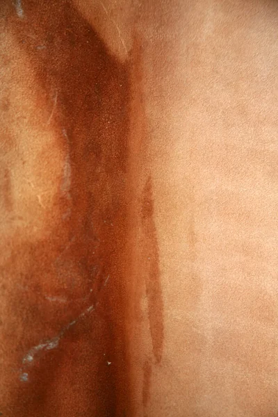 Leer Achtergronden Texturen Echte Lederen Textuur Achtergrond Koeienhuid Paardenschuilplaats Dierenhuid — Stockfoto