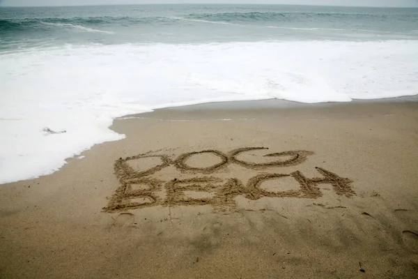 Dog Beach Írt Strand Homokos Óceán Mint Háttér — Stock Fotó