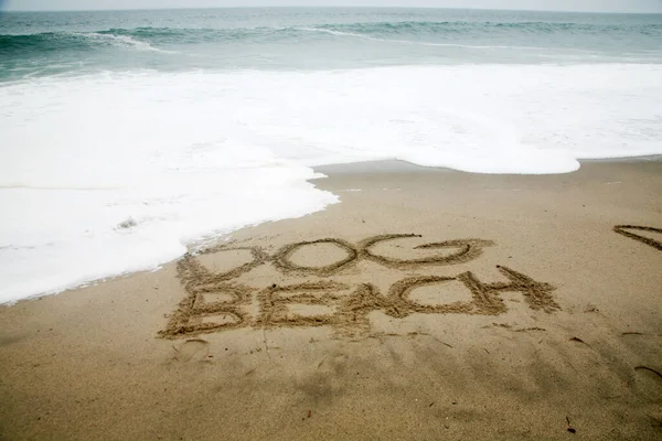 以大海为背景写在沙滩上的狗滩 — 图库照片
