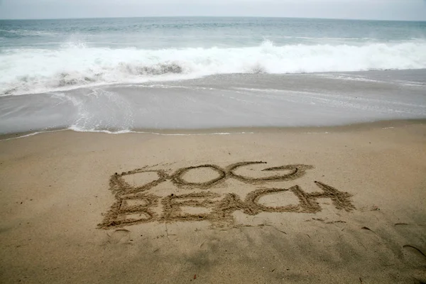 Dog Beach Sand Geschrieben Mit Dem Ozean Als Hintergrund — Stockfoto