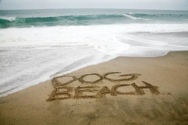 背景として海と砂浜に書かれた犬のビーチ — ストック写真