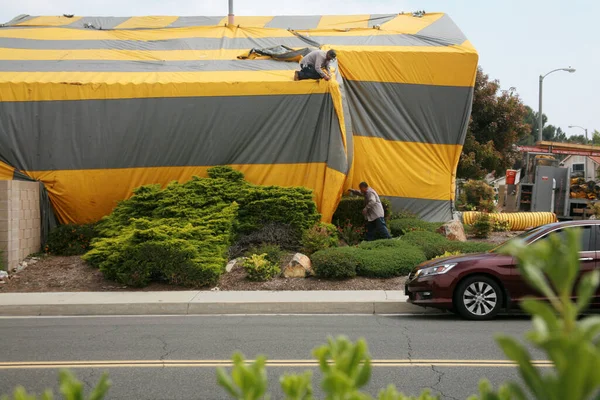 어바인 Irvine 2023 흰개미 텐트로 스타일의 하우스 흰개미를 분칠을 노란색 — 스톡 사진