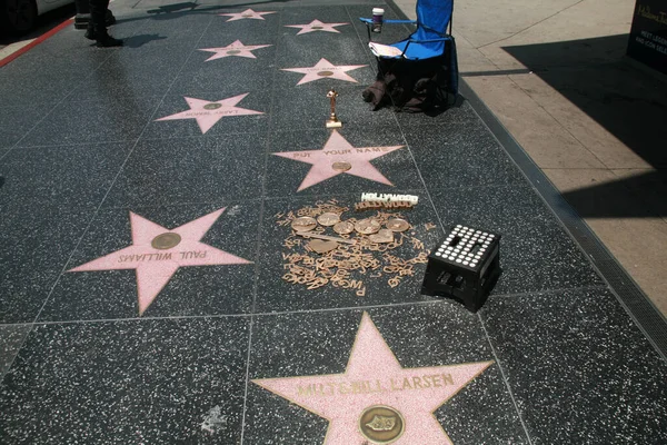 Hollywood California Mayo 2023 Pon Nombre Una Estrella Paseo Fama — Foto de Stock