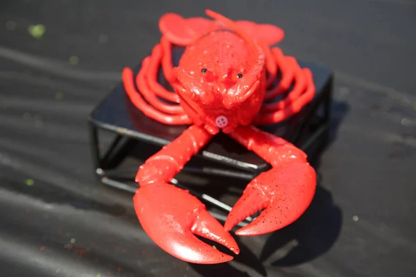 塑料龙虾 小龙虾一种有趣的红色塑料龙虾或小龙虾 放在黑色塑料桌面上鱼类和海鲜食品烤鸭展览 塑料小龙虾对每个人都很有趣 — 图库照片