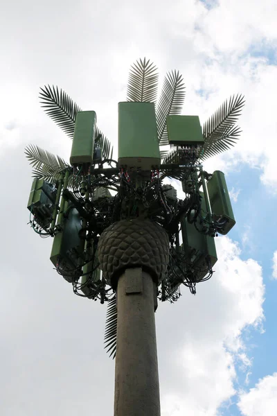Mobiele Telefoon Toren Vermomd Als Een Palmboom — Stockfoto