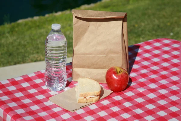 サンドイッチ ウォーターボトル リンゴと湖でのランチタイム — ストック写真