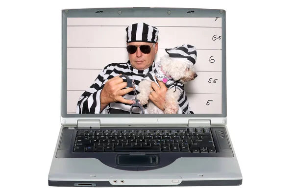 Экран Ноутбука Человеком Собакой Арестом Станции Бронирования Тюрьме — стоковое фото