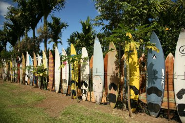 Maui, Hawaii - ABD - 21 Şubat 2010: Maui, Hawaii 'de sörf tahtaları ve raket çitleri. Hana yolu. Maui, Hawaii. Sörf tahtası. Eski sörf tahtalarından yapılmış renkli bir çit. Yazı.