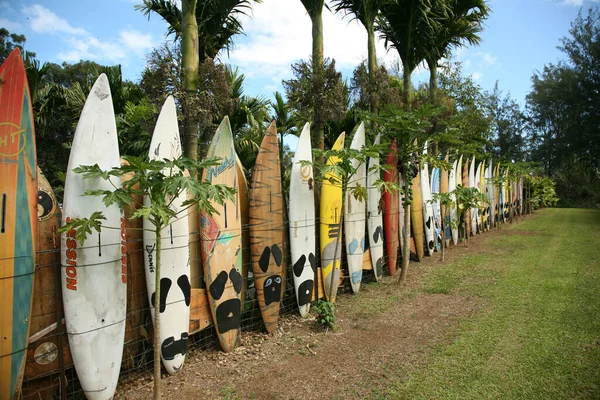 Maui Hawaii Usa Februar 2010 Surfbretter Und Paddelbrettzaun Maui Hawaii — Stockfoto