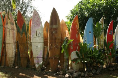 Maui, Hawaii - ABD - 21 Şubat 2010: Maui, Hawaii 'de sörf tahtaları ve raket çitleri. Hana yolu. Maui, Hawaii. Sörf tahtası. Eski sörf tahtalarından yapılmış renkli bir çit. Yazı.