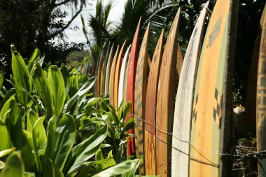 Maui, Hawaii - ABD - 21 Şubat 2010: Maui, Hawaii 'de sörf tahtaları ve raket çitleri. Hana yolu. Maui, Hawaii. Sörf tahtası. Eski sörf tahtalarından yapılmış renkli bir çit. Yazı.