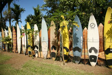 Maui, Hawaii - ABD - 21 Şubat 2010: Maui, Hawaii 'de sörf tahtaları ve raket çitleri. Hana yolu. Maui, Hawaii. Sörf tahtası. Eski sörf tahtalarından yapılmış renkli bir çit. Yazı.