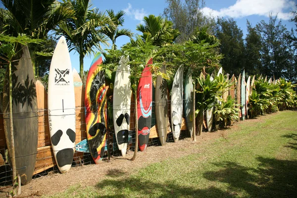Maui Hawaii Usa Februari 2010 Surf Boards Paddle Board Fence — Stockfoto
